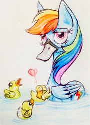 Size: 915x1280 | Tagged: safe, artist:meskitt, imported from derpibooru, rainbow dash, duck, duck pony, bill, clothes, costume, duckling, heart, pegaduck, rainbow duck