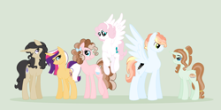 Size: 1024x506 | Tagged: safe, artist:theroyalartofna, imported from derpibooru, oc, oc only, oc:bella, oc:blair, oc:blizzer, oc:crown jewel, oc:elle, oc:muffin, oc:wiwy, next generation, offspring, parent:applejack, parent:cheese sandwich, parent:filthy rich, parent:flash sentry, parent:fluttershy, parent:pinkie pie, parent:prince blueblood, parent:rainbow dash, parent:rarity, parent:soarin', parent:trenderhoof, parent:twilight sparkle, parents:blueshy, parents:cheesepie, parents:flashlight, parents:raririch, parents:soarindash, parents:trenderjack