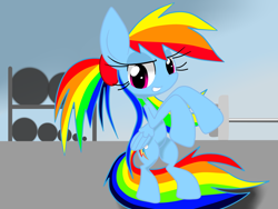 Size: 1600x1200 | Tagged: safe, artist:lovehtf421, imported from derpibooru, rainbow dash, pony, exercise, female, gym, solo