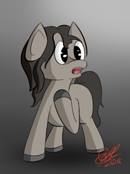 Size: 840x1120 | Tagged: safe, artist:gift, imported from derpibooru, earth pony, pony, brown mane, solo, standing