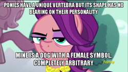 Size: 800x450 | Tagged: safe, edit, edited screencap, imported from derpibooru, screencap, spoiled rich, pony, bloom and gloom, crusaders of the lost mark, newbie dash, bitch, female, image macro, meme, reference, solo, spoiled bitch, vertebrae