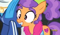 Size: 803x469 | Tagged: safe, imported from derpibooru, screencap, mr. stripes, plaid stripes, the saddle row review, discovery family logo