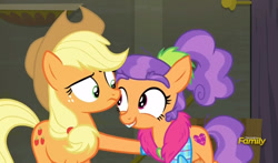 Size: 795x469 | Tagged: safe, imported from derpibooru, screencap, applejack, plaid stripes, the saddle row review, discovery family logo