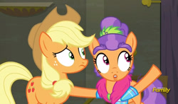 Size: 795x469 | Tagged: safe, imported from derpibooru, screencap, applejack, plaid stripes, the saddle row review, discovery family logo