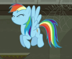 Size: 437x358 | Tagged: safe, imported from derpibooru, screencap, rainbow dash, the saddle row review, animated, cute, dashabetes, female, flying, headbob, loop