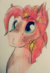 Size: 605x878 | Tagged: safe, artist:php37, imported from derpibooru, pinkie pie, bubble berry, rule 63, solo, traditional art