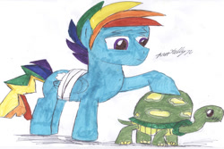 Size: 864x576 | Tagged: safe, artist:brookellyn, imported from derpibooru, rainbow dash, tank, pegasus, pony, tortoise, may the best pet win, bandage, female, male, rainbow blitz, rule 63, solo, stallion, traditional art