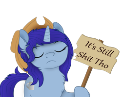 Size: 1124x900 | Tagged: safe, artist:blue-strokes, imported from derpibooru, oc, oc only, hat, sign, simple background, text, transparent background, vector, vulgar