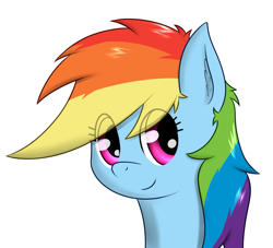 Size: 1137x1033 | Tagged: safe, artist:zogzor, imported from derpibooru, rainbow dash, female, solo