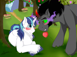 Size: 1600x1200 | Tagged: safe, artist:tejedora, imported from derpibooru, king sombra, shining armor, apple, blushing, crack shipping, cute, dark magic, food, gay, magic, male, mouth hold, shiningsombra, shipping, sombra eyes, sombradorable, unshorn fetlocks