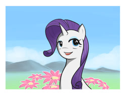 Size: 1024x772 | Tagged: safe, artist:yuwentaiji, imported from derpibooru, rarity, female, solo