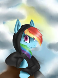 Size: 1024x1373 | Tagged: safe, artist:stanfel, imported from derpibooru, rainbow dash, pony, clothes, female, hoodie, looking at you, solo