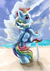 Size: 2759x3914 | Tagged: safe, artist:owlvortex, imported from derpibooru, rainbow dash, pony, beach, bipedal, clothes, female, headband, looking back, pirate, pirate dash, solo, sword, weapon