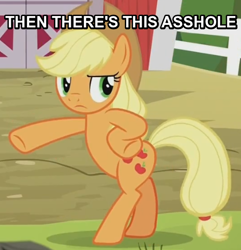 Size: 466x483 | Tagged: safe, edit, edited screencap, imported from derpibooru, screencap, applejack, pony, applejack's "day" off, and then there's this asshole, bipedal, caption, female, image macro, juxtaposition bait, mare, solo, text, vulgar