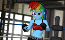 Size: 1280x800 | Tagged: safe, artist:asmodeusthesexlord, imported from derpibooru, rainbow dash, equestria girls, 3d, boxing, boxing ring, breasts, busty rainbow dash, clothes, dead or alive, female, gmod, midriff, solo, sports bra