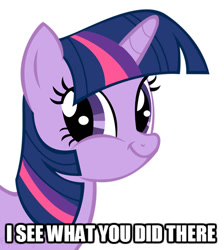 Size: 500x557 | Tagged: safe, imported from derpibooru, twilight sparkle, caption, exploitable meme, faic, female, i see what you did there, image macro, meme, reaction image, smirk, solo, text, twiface