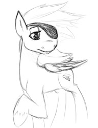 Size: 456x595 | Tagged: safe, artist:tempusfidgets, imported from derpibooru, rainbow dash, eyepatch, monochrome, pirate dash, solo