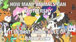 Size: 800x444 | Tagged: safe, imported from derpibooru, fluttershy, twilight sparkle, equestria girls, meme