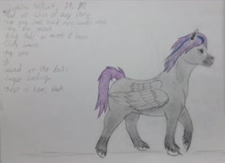 Size: 4089x2953 | Tagged: safe, artist:gabriel-titanfeather, imported from derpibooru, oc, oc only, oc:quintillus halfheart, pegasus, pony, absurd resolution, blank flank, colored pencil drawing, ear piercing, earring, male, piercing, solo, stallion, traditional art, unshorn fetlocks, walking