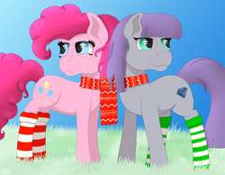 Size: 4500x3500 | Tagged: safe, artist:fia94, imported from derpibooru, maud pie, pinkie pie, pony, absurd resolution, advent calendar, christmas, clothes, scarf, shared clothing, shared scarf, sisters, socks, striped socks, wrong cutie mark