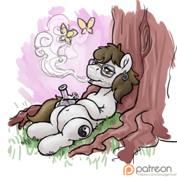 Size: 1500x1500 | Tagged: safe, artist:smudge proof, imported from derpibooru, oc, oc only, oc:wayward pony, butterfly, bong, drugs, featureless crotch, high, marijuana, patreon, patreon logo, sketch, smoke, tree