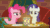 Size: 858x482 | Tagged: safe, imported from derpibooru, screencap, pinkie pie, rarity, pony, spice up your life, :o, animated, discovery family logo, feeding, female, food, rarity looking at food, the tasty treat
