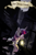 Size: 1024x1560 | Tagged: safe, artist:ciyunhe, imported from derpibooru, twilight sparkle, twilight sparkle (alicorn), alicorn, pony, comic:falling into the deep, comic, dark, dear princess celestia, female, lamp, night, solo, translation, window