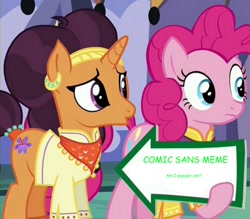 Size: 941x823 | Tagged: safe, edit, edited screencap, imported from derpibooru, screencap, pinkie pie, saffron masala, spice up your life, comic sans, exploitable meme, meme, pinkie pie's sign