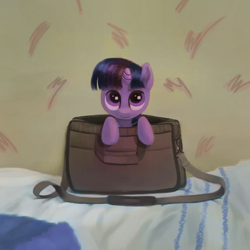 Size: 1600x1600 | Tagged: safe, artist:fahu, imported from derpibooru, twilight sparkle, pony, bag, cute, daaaaaaaaaaaw, female, filly, pony in a bag, solo, twiabetes, younger