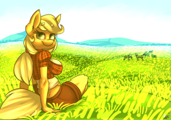 Size: 1400x980 | Tagged: safe, artist:ogaraorcynder, imported from derpibooru, applejack, anthro, big breasts, breasts, busty applejack, clothes, female, field, midriff, shorts, solo