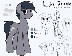 Size: 3303x2577 | Tagged: safe, artist:candel, imported from derpibooru, oc, oc only, oc:light drizzle, earth pony, pony, clothes, coat, hoodie, male, reference sheet, sketch, solo, stallion, tired