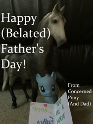 Size: 540x720 | Tagged: safe, imported from derpibooru, horse, bootleg, card, concerned pony, father's day, irl, moustache, nightmare fuel, photo, toy