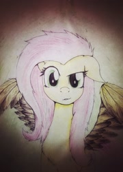Size: 1557x2165 | Tagged: safe, artist:rainbowpegasusdash, imported from derpibooru, fluttershy, dishevelled, female, looking at you, messy mane, raised eyebrow, solo, spread wings, traditional art