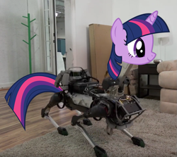 Size: 719x641 | Tagged: safe, edit, imported from derpibooru, twilight sparkle, robot, boston dynamics, photo, wat, what has science done