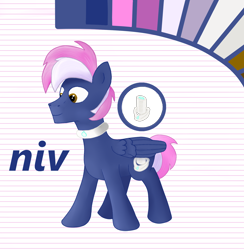 Size: 1500x1536 | Tagged: safe, artist:niv, imported from derpibooru, oc, oc only, oc:niv, pegasus, pony, blue, brown eyes, collar, cutie mark, male, palette, reference sheet, simple background, smiling, solo, stallion, text, two colour hair, two toned hair, white background, wings