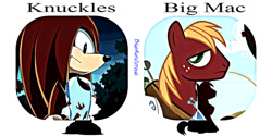 Size: 1280x640 | Tagged: safe, artist:blueaurastreakarts, imported from derpibooru, big macintosh, earth pony, pony, crossover, knuckles the echidna, male, sonic the hedgehog (series), stallion