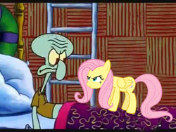 Size: 480x360 | Tagged: safe, imported from derpibooru, fluttershy, can you spare a dime?, meme, spongebob squarepants, squidward tentacles