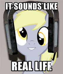 Size: 408x480 | Tagged: artist needed, safe, edit, imported from derpibooru, derpy hooves, pegasus, pony, audiophile, female, headphones, image macro, jecklin float, mare, meme, solo