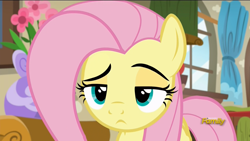 Size: 1920x1080 | Tagged: safe, imported from derpibooru, screencap, fluttershy, pegasus, pony, flutter brutter, discovery family logo, female, fluttershy is not amused, frown, glare, lidded eyes, mare, reaction image, solo, unamused, window