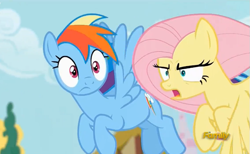 Size: 707x436 | Tagged: safe, imported from derpibooru, screencap, fluttershy, rainbow dash, pony, flutter brutter, assertive, discovery family logo, flying, peeved, you know for kids