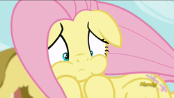 Size: 1920x1080 | Tagged: safe, imported from derpibooru, screencap, fluttershy, pony, flutter brutter, discovery family logo, female, mare, puffy cheeks, solo