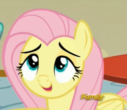 Size: 1011x879 | Tagged: safe, imported from derpibooru, screencap, fluttershy, zephyr breeze, pegasus, pony, flutter brutter, discovery family logo, female, mare, out of context, solo focus