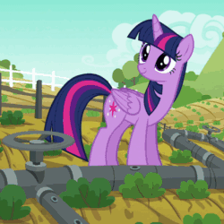 Size: 520x520 | Tagged: safe, imported from derpibooru, screencap, twilight sparkle, alicorn, pony, applejack's "day" off, animated, cute, female, loop, raised hoof, sprinkler, twiabetes, twilight sparkle (alicorn), water