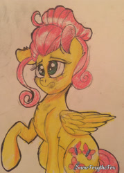 Size: 2196x3072 | Tagged: safe, artist:snowfoxythefox, imported from derpibooru, fluttershy, flutter brutter, alternate hairstyle, blushing, chest fluff, colored pencil drawing, cute, female, hair bun, messy bun, shyabetes, solo, traditional art