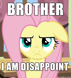 Size: 433x473 | Tagged: safe, edit, edited screencap, imported from derpibooru, screencap, fluttershy, flutter brutter, caption, dialogue, disappointed, i am disappoint, image macro, meme