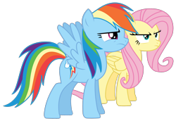 Size: 2747x1888 | Tagged: safe, artist:sketchmcreations, imported from derpibooru, fluttershy, rainbow dash, flutter brutter, angry, frown, inkscape, simple background, transparent background, vector