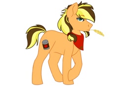 Size: 1024x713 | Tagged: safe, artist:colourstrike, imported from derpibooru, oc, oc only, oc:cinnamon apple, bandana, goatee, looking at you, offspring, parent:applejack, parent:caramel, parents:carajack, simple background, solo