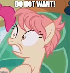 Size: 486x510 | Tagged: safe, edit, edited screencap, imported from derpibooru, screencap, raspberry vinaigrette, the gift of the maud pie, background pony, do not want, faic, image macro, meme, reaction image, solo