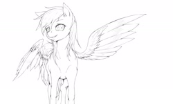 Size: 2048x1231 | Tagged: safe, artist:doktor-d, imported from derpibooru, rainbow dash, pegasus, pony, female, monochrome, solo