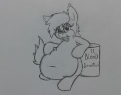 Size: 1968x1536 | Tagged: safe, artist:chromchill12, imported from derpibooru, oc, oc only, oc:vonderveil, vampony, belly, belly button, blood, blood inflation, fat, monochrome, solo